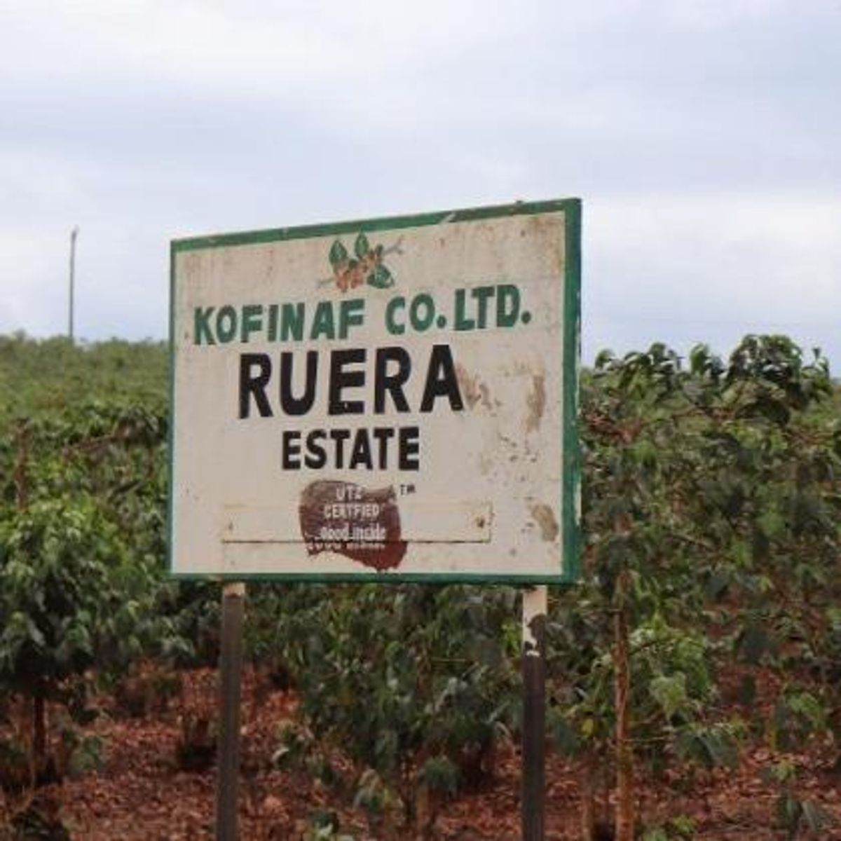 Kenya AB Ruera