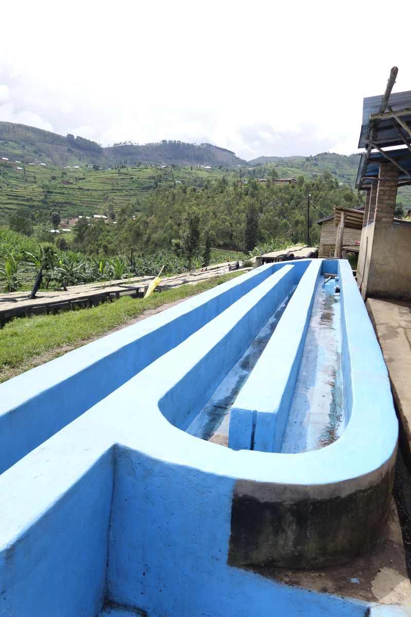 Rwanda Gitesi