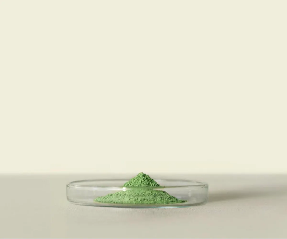 Matcha midori